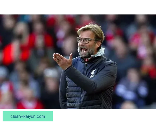 英超埃默森·帕尔梅拉